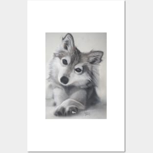 Cute Husky Puppy Posters and Art